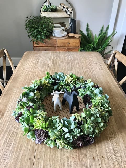 Succulent wreath on the table