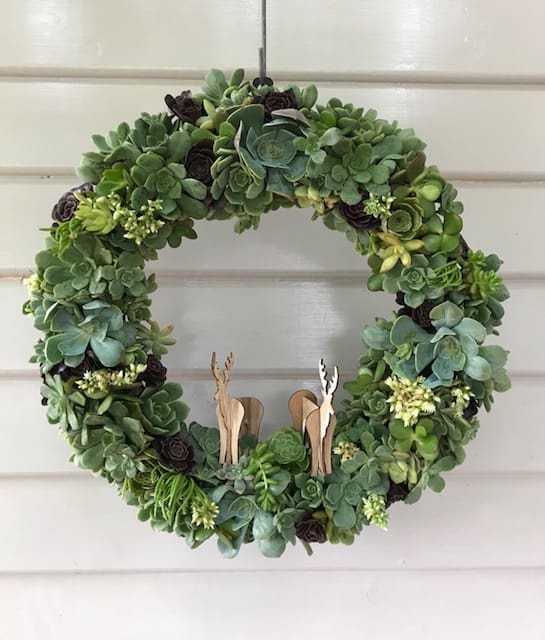 DIY succulent wreath: Learn how to make a beautiful living wreath