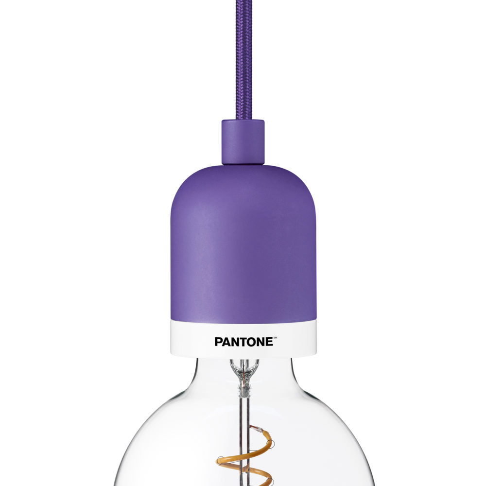 Purple pendant light
