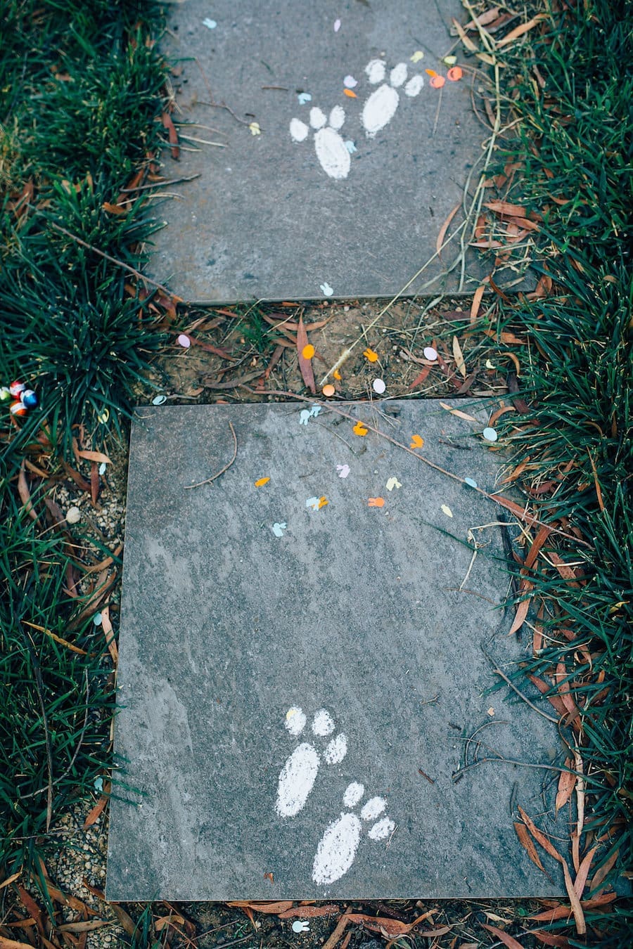 Bunny foot prints