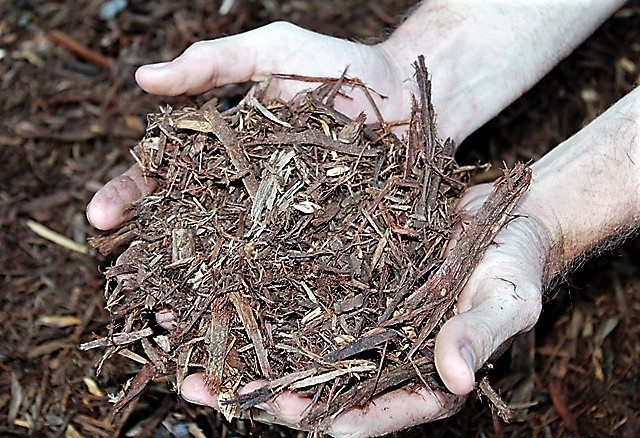 Organic mulch choose the right mulch for your garden