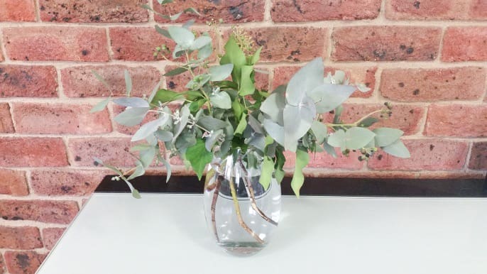 Foliage in vase