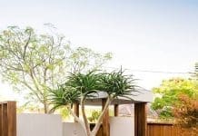 Landscaped front garden