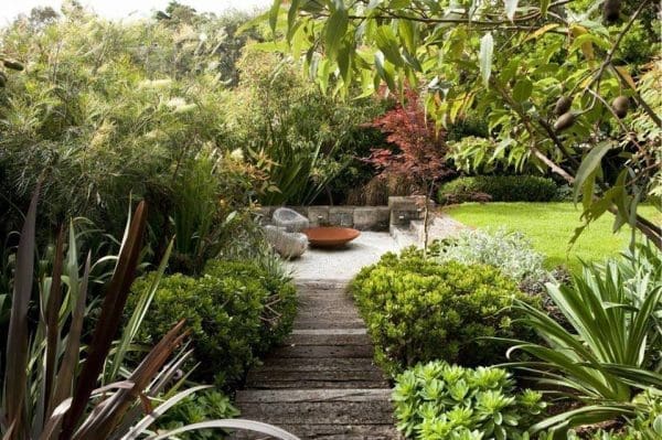 5 step guide: How to choose the right trees for your garden