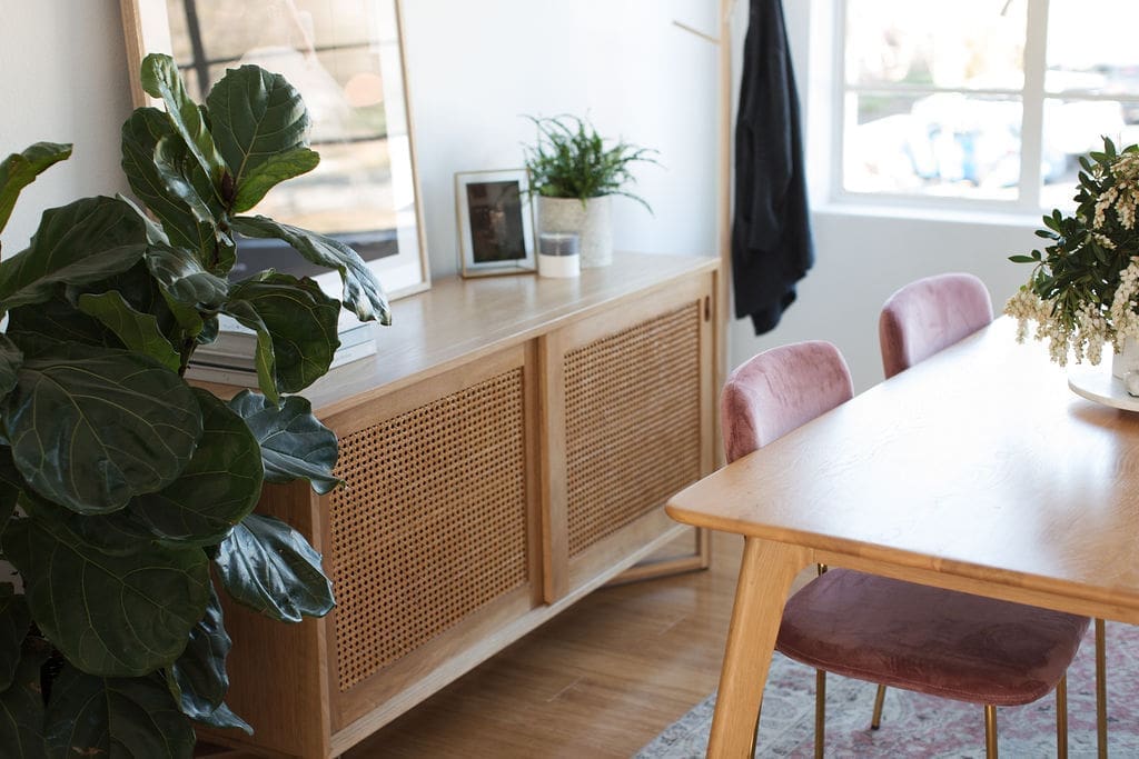 Fiddle Leaf Fig