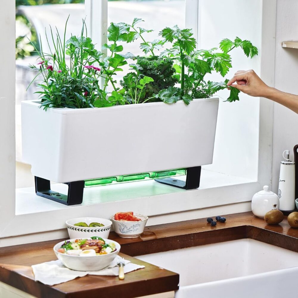 Indoor window herb planter box