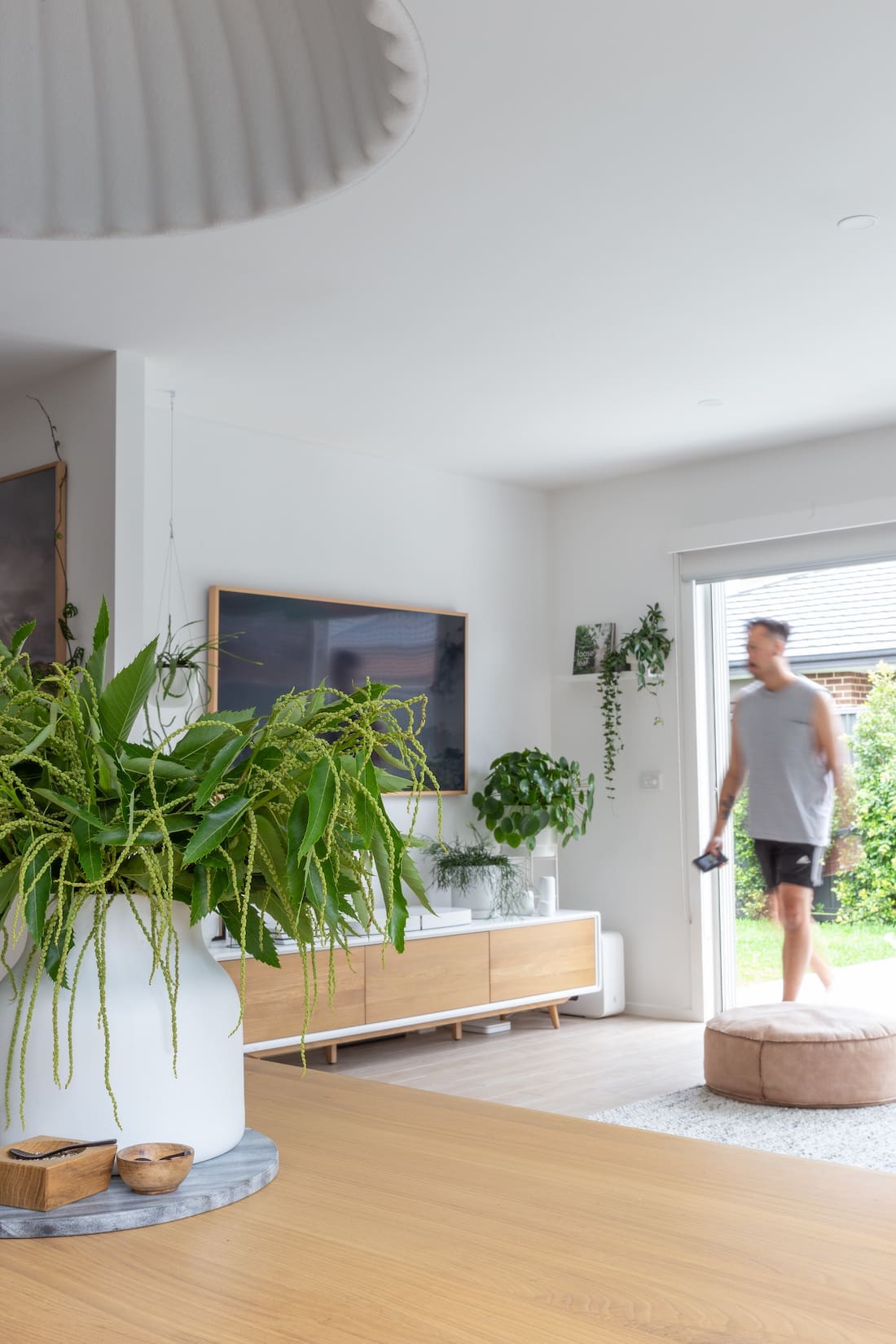 Plant shelf in living room