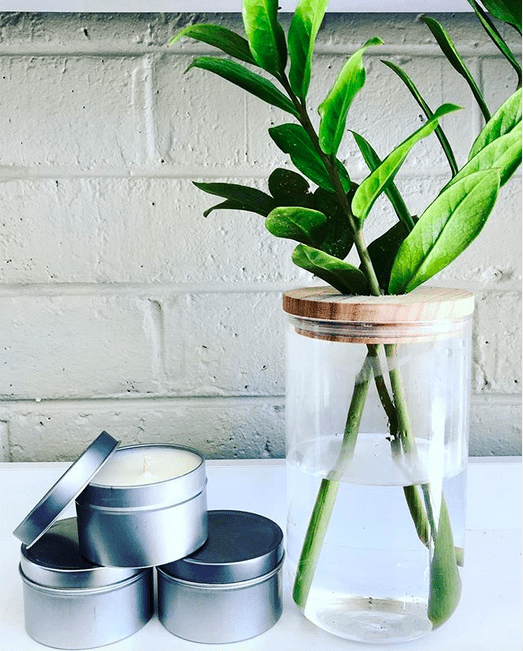 Glass canister becomes propagation vase