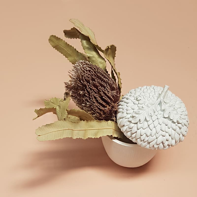 acorn with protea White Moose home decor