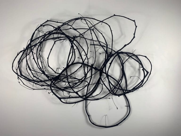 Artist spotlight Catriona Pollard, creating sculptural art from nature