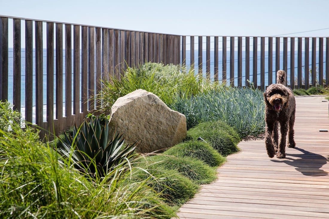 Coastal garden with dog and decking