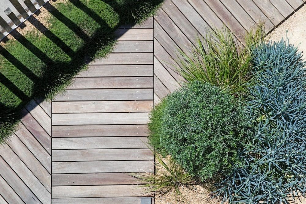 Coastal plants and decking