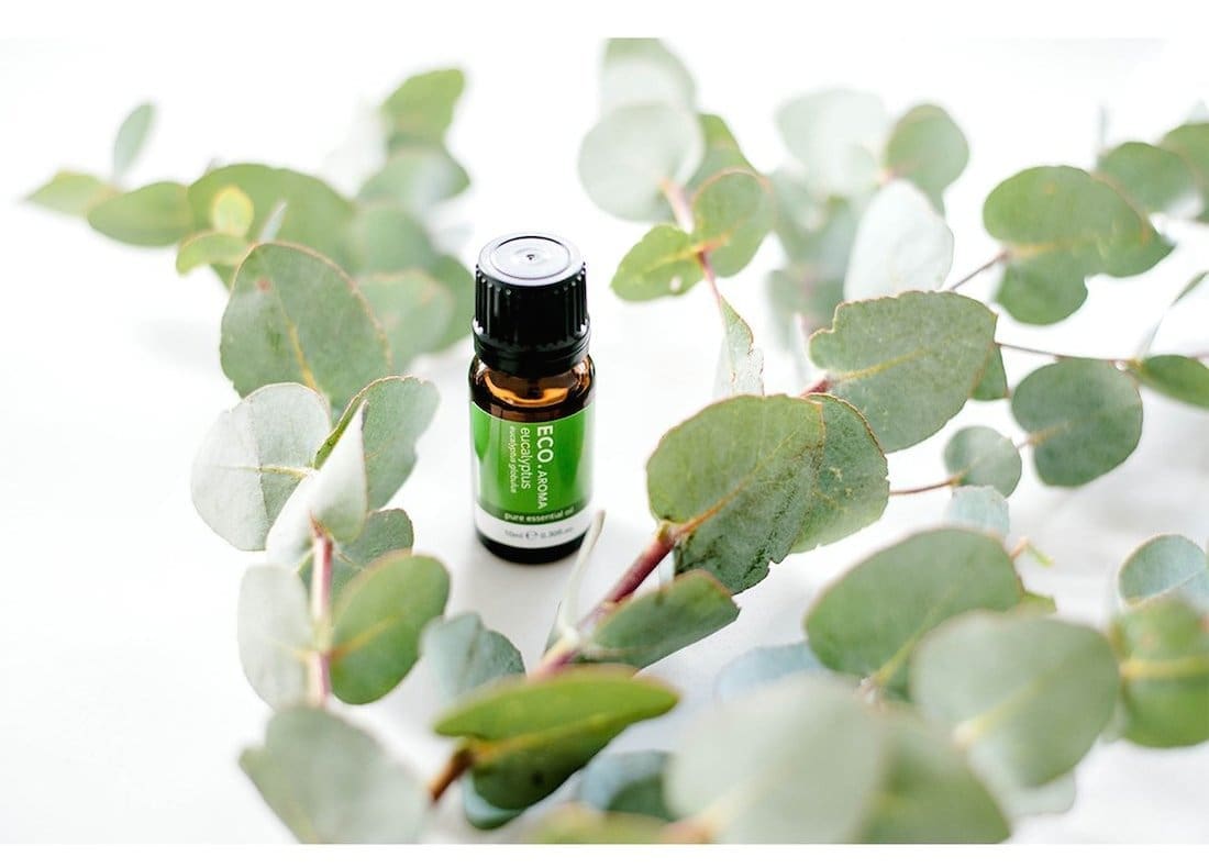 Eucalyptus Eco top 10 essential oils