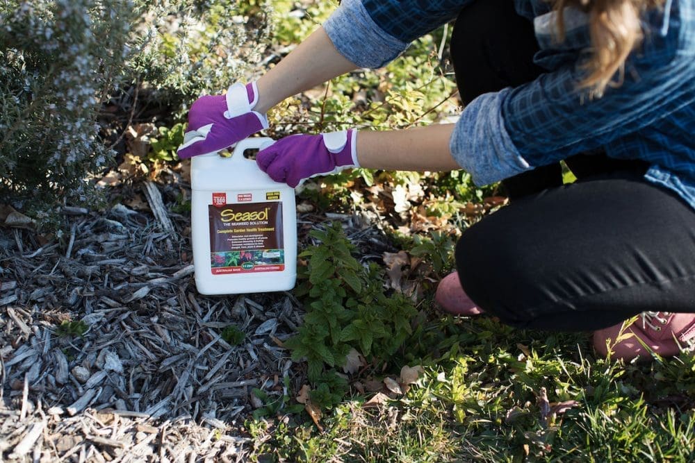 Feed garden spring gardening guide