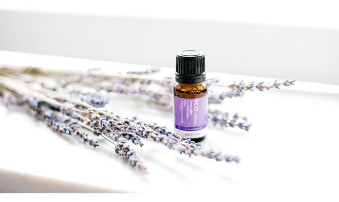 The top 10 essential oils you need in your home | Style Curator