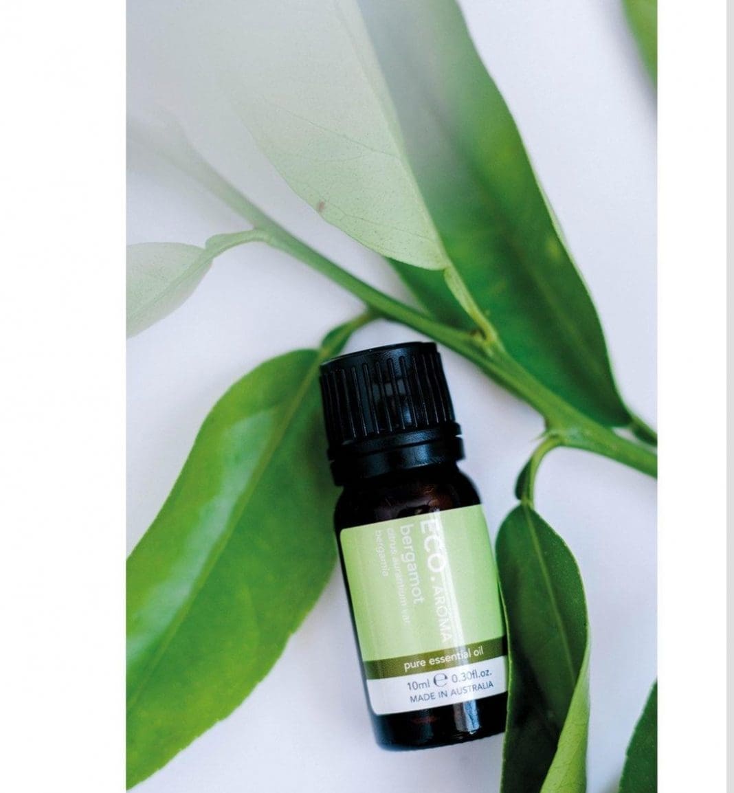 The 10 best essential oils for stress relief, relaxation + DIYs Style