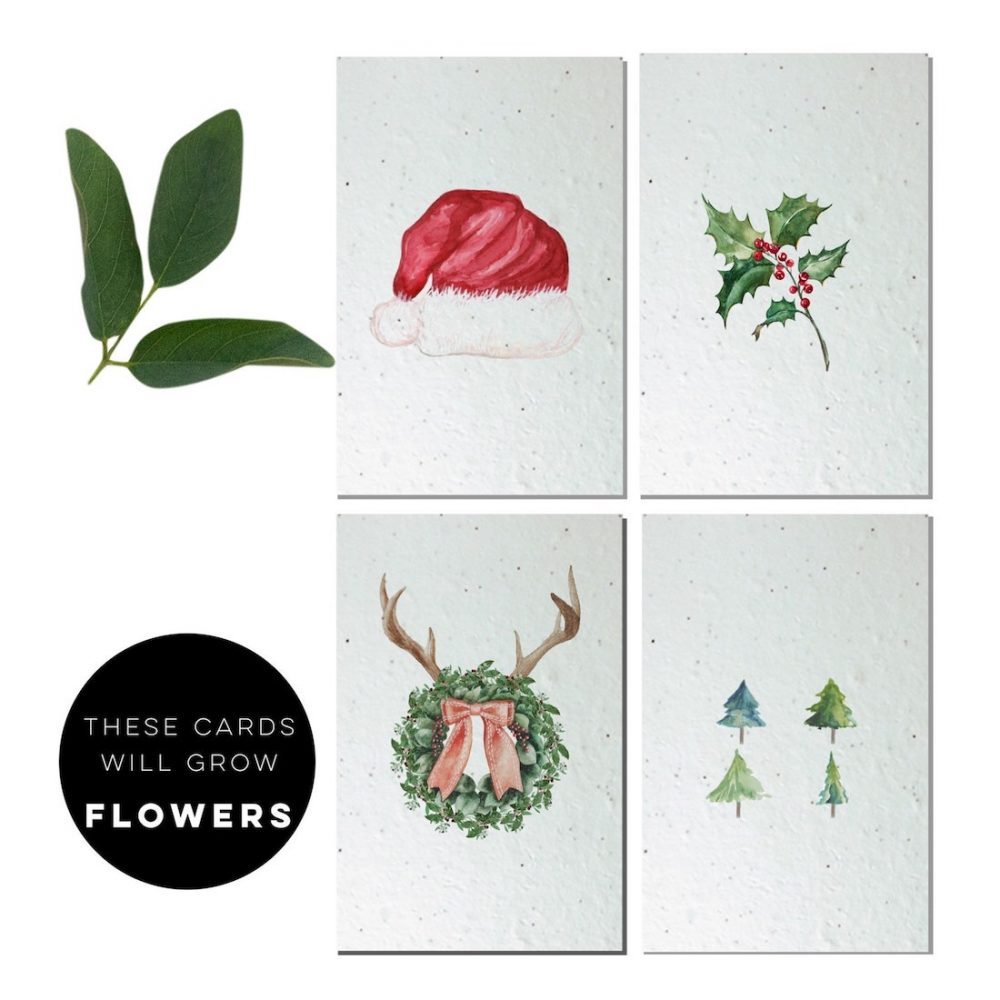 Plantable Christmas cards with seeds