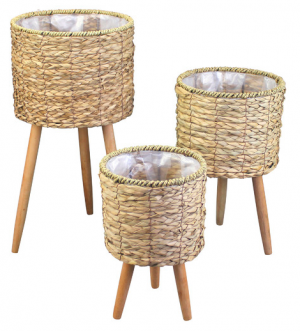 Seagrass plant stands