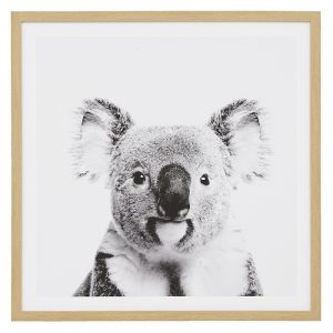 Koala print