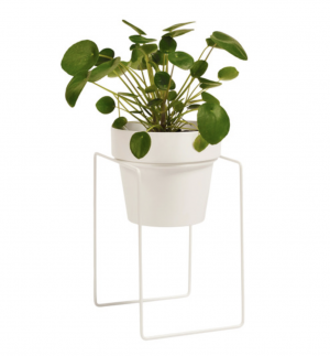 Pot and plant stand