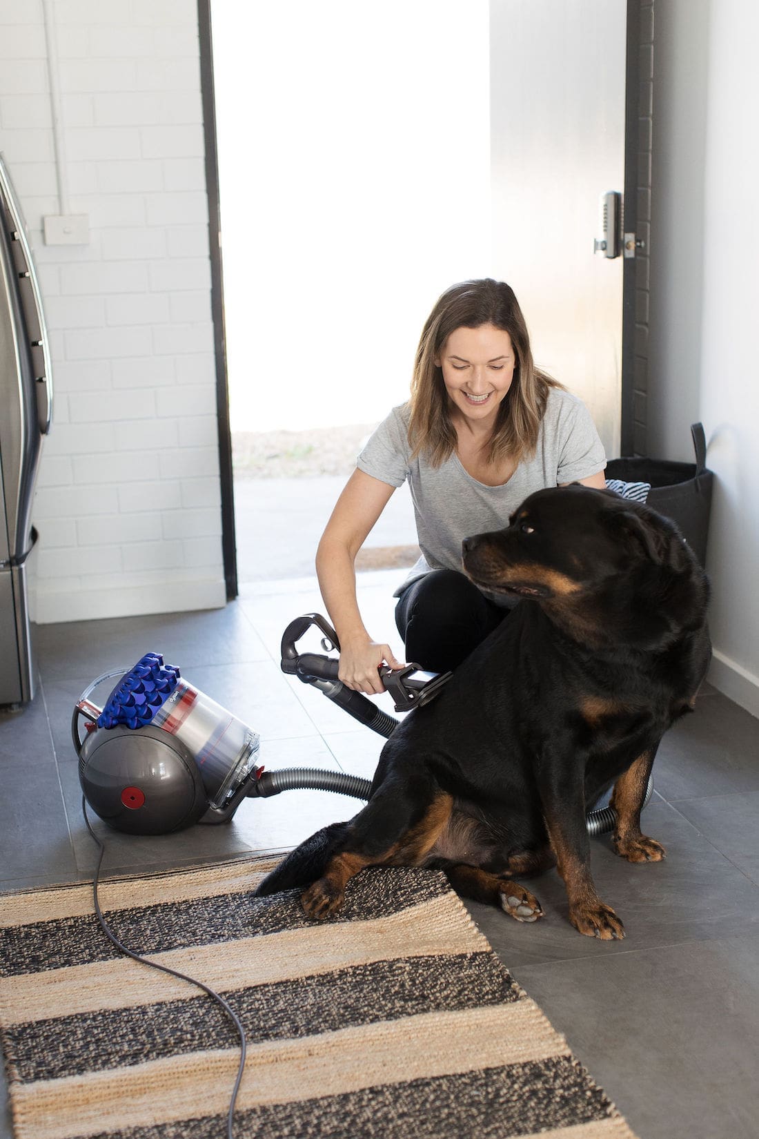 Dyson animal attachment Dyson Cinetic Big Ball Animal+ vacuum cleaner