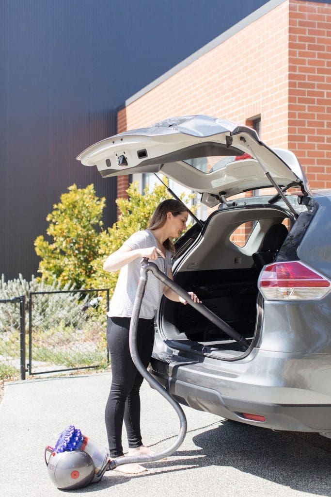 Product review Dyson Big Ball Animal+ vacuum cleaner