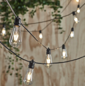 Festoon lights