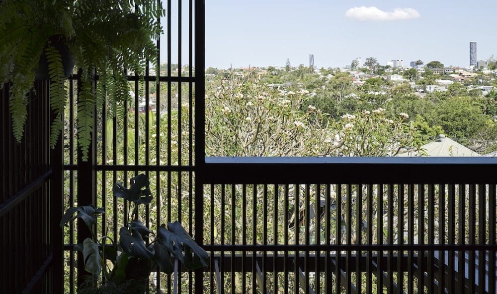 Paddington home_Kieron Gait_view from inside birdcage