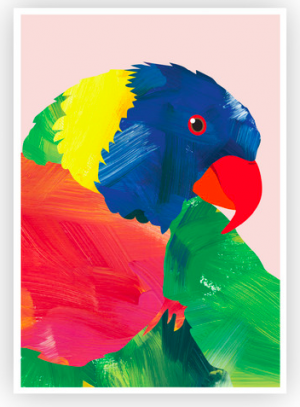 Rainbow lorikeet print