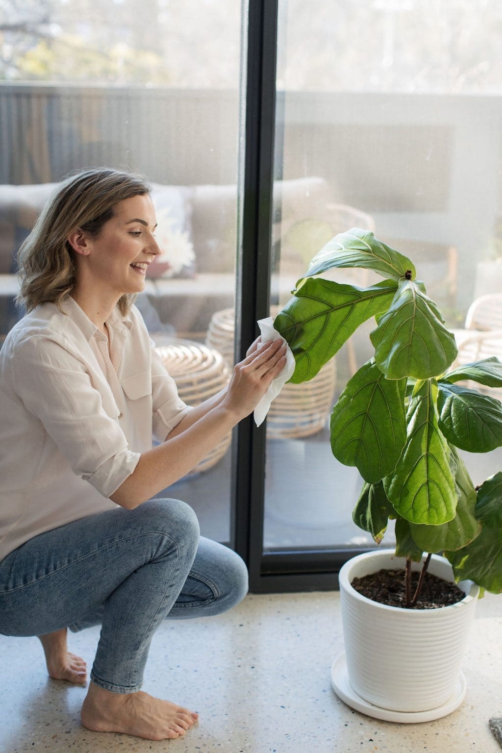 How to keep your plants alive in winter Style Curator