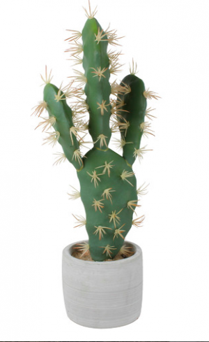 Faux cactus