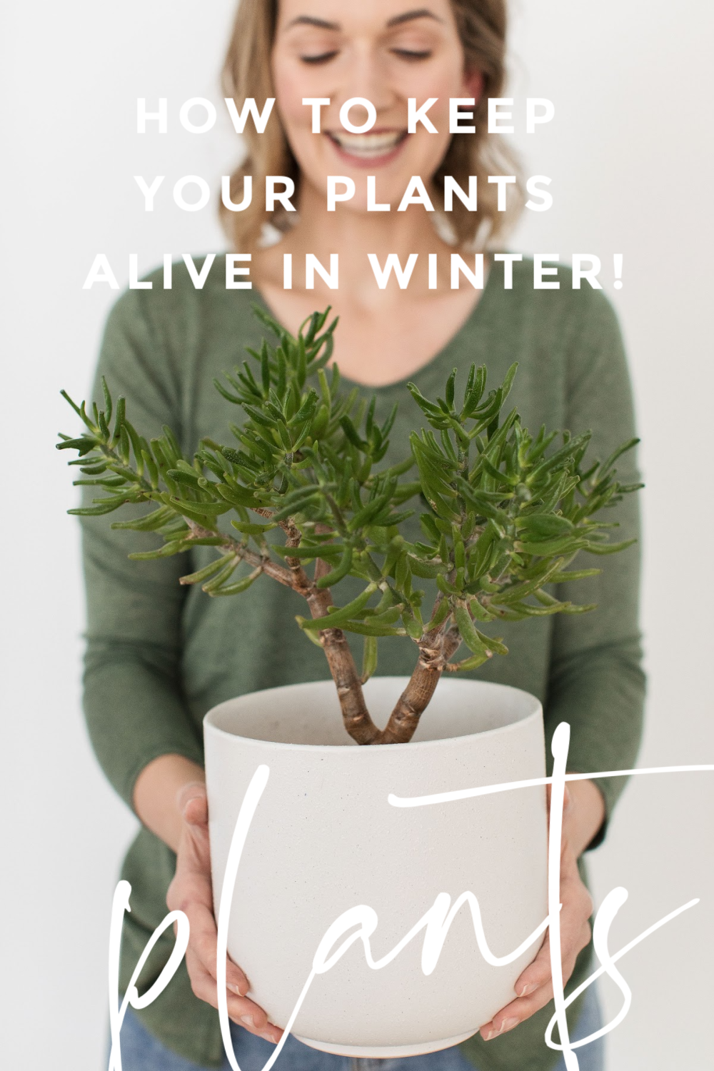 how-to-keep-your-plants-alive-in-winter-style-curator