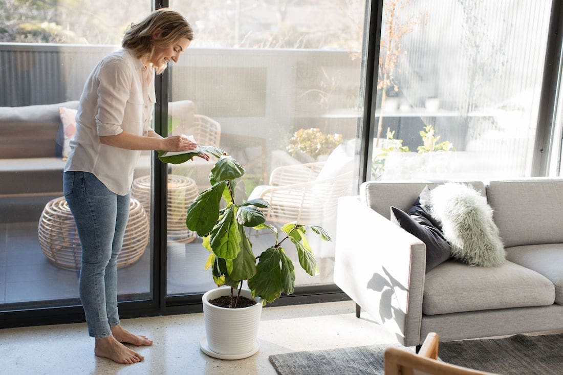 Keeping plants alive in winter