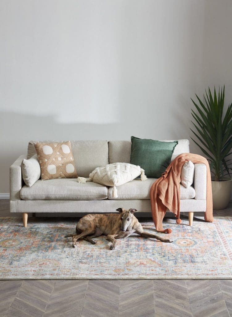 Temple & Webster - Pet-Friendly Rug