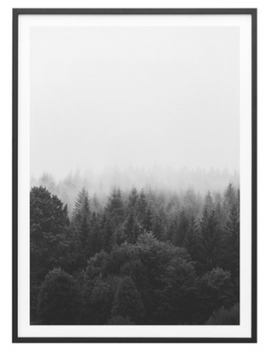 Black and white forest print