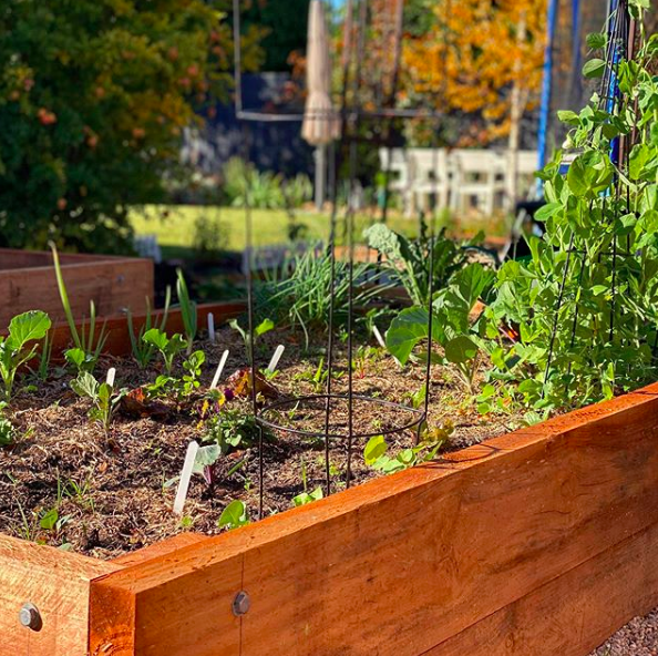 Raised garden bed