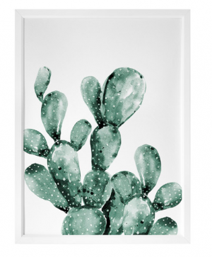 Cactus print