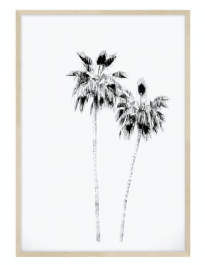 Palm Springs print