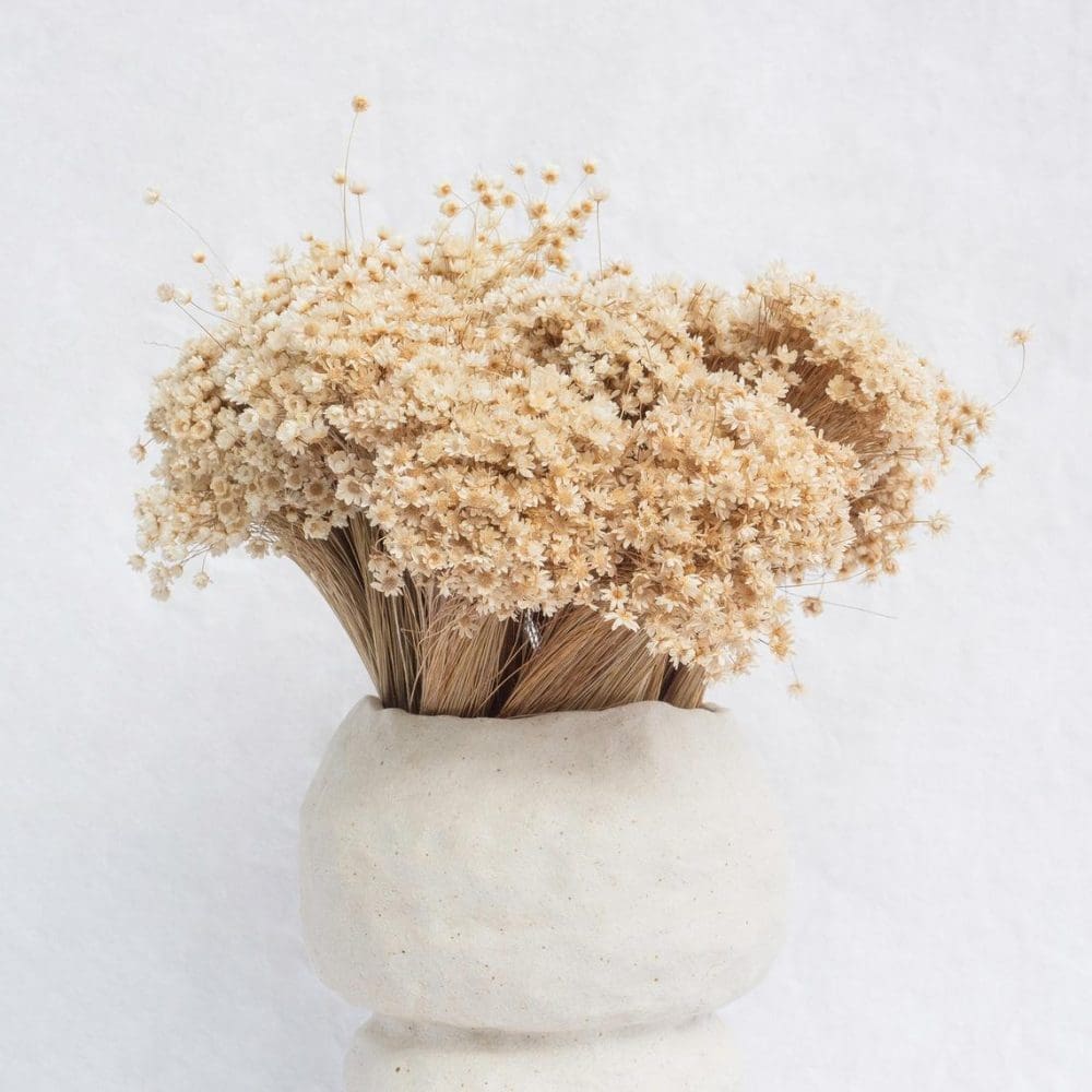 Dried bunch