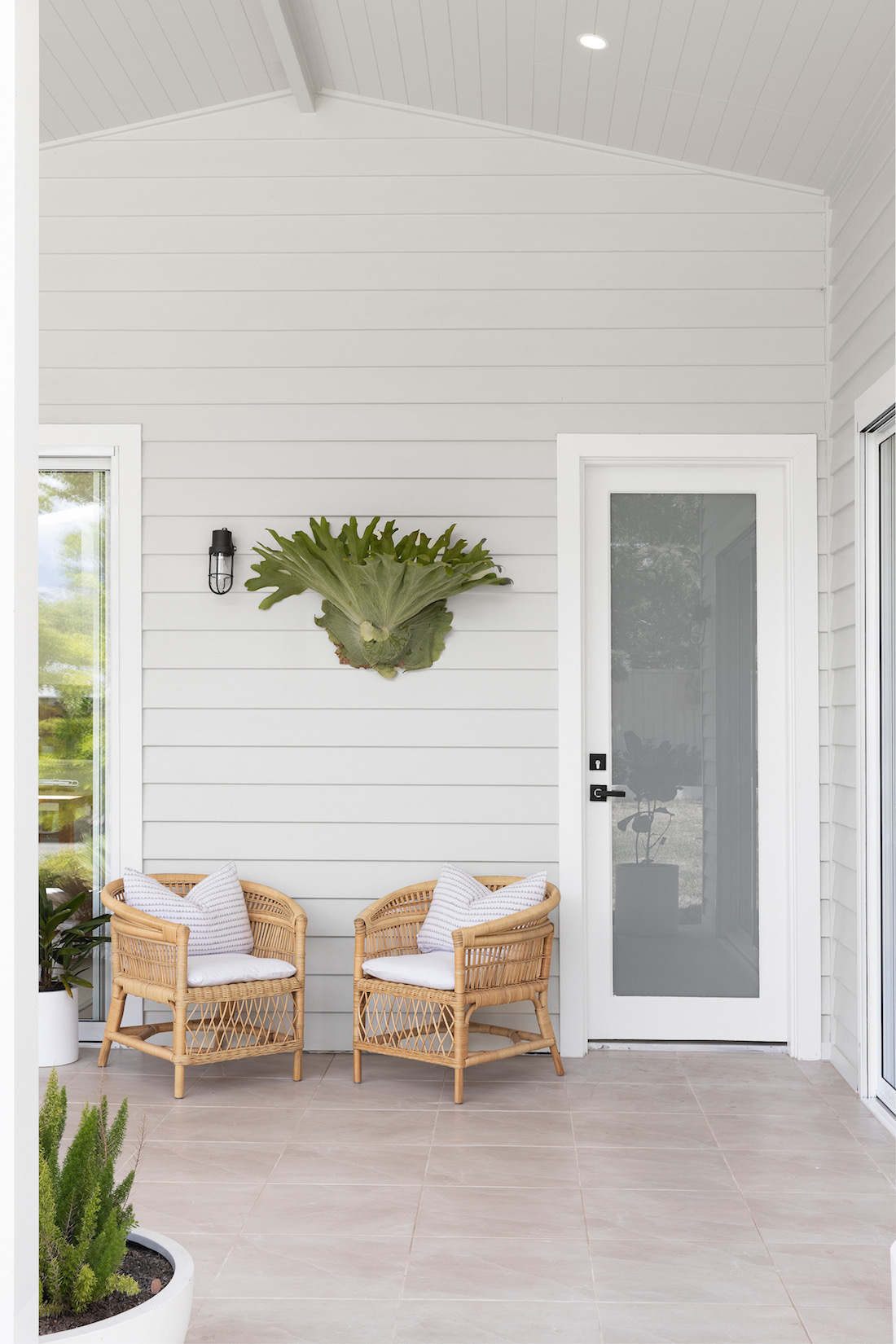 Entryway with staghorn plant