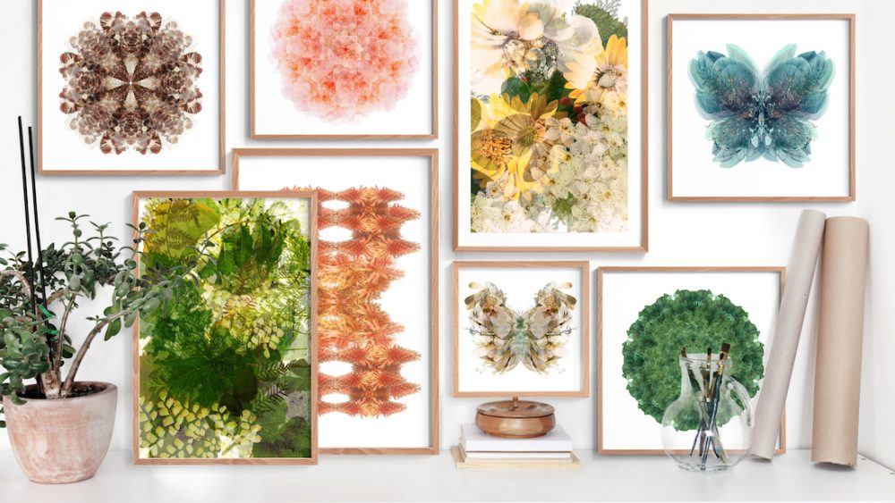 Paper and Flower gallery wall