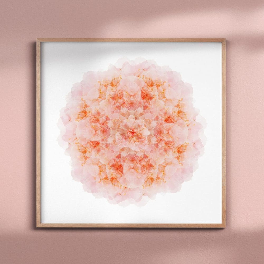 Paper and Flower pink camelia mandala