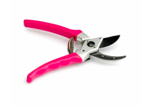 Pink secateurs