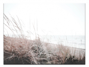 Beach grass print