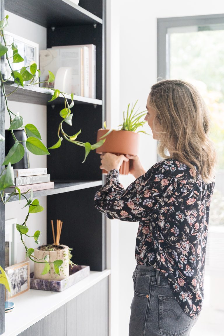 Caring for your indoor plants