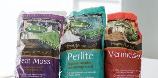 Create a potting mix plants will love