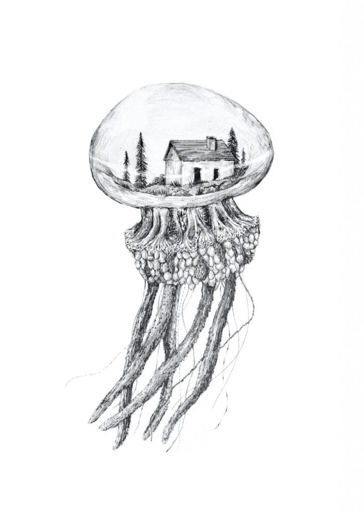 Jelly fish illustration artwork