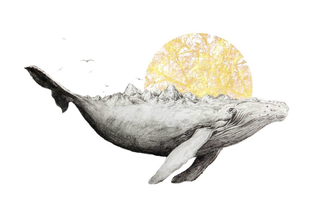 Mother whale illustration Ahki detailed graphite illustrations