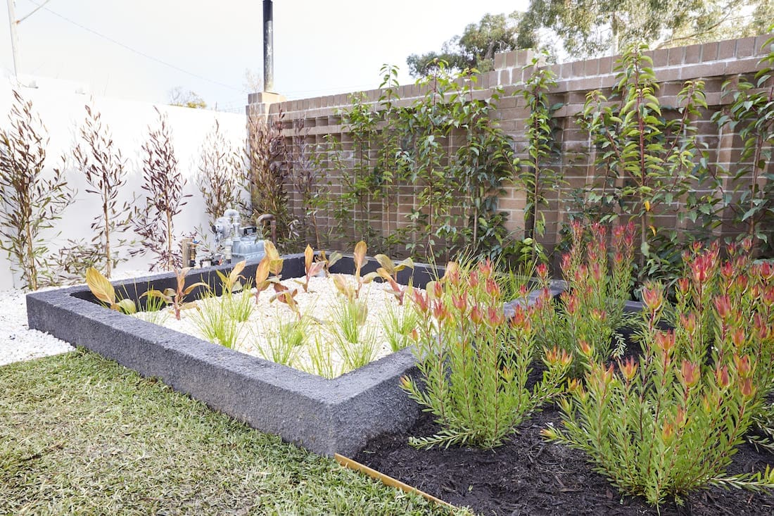 The Block 2020_week 10_front garden facade_Harry and Tash_garden beds.jpg