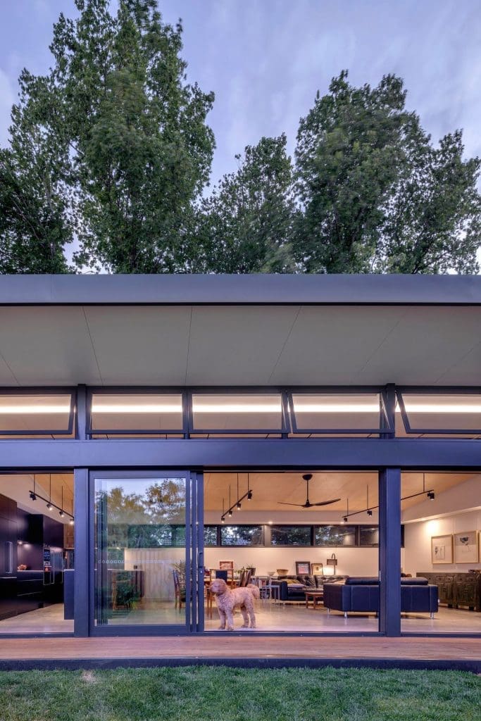Ben Walker_Elm Grove House_exterior
